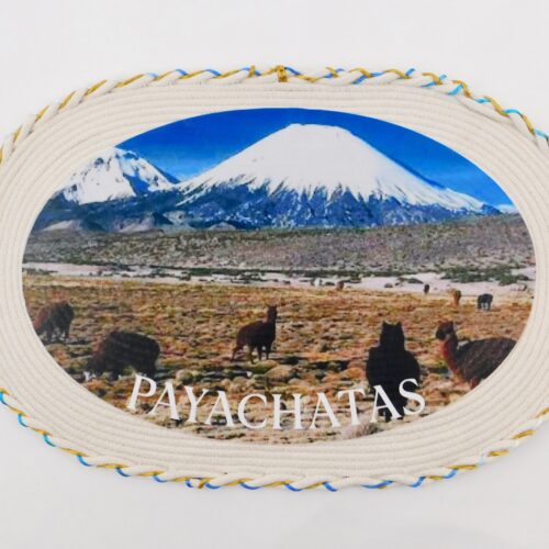 Mural decorativo Payachatas