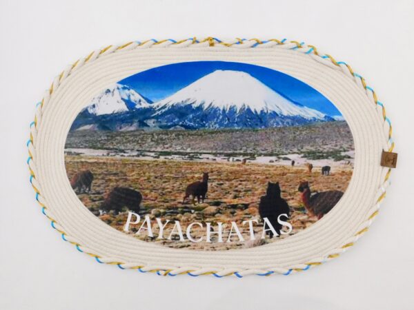 DSCN0096 Mural decorativo Payachatas